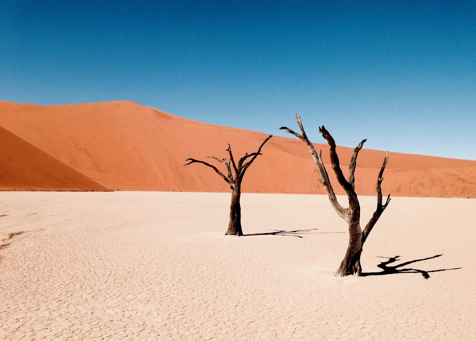 Wolfgang Eckleben: "Esta imagen es de una caminata en el desierto, en Sossusvlei, Namibia. Este lugar es un bello oasis cuando llueve, pero la mayor parte del año se ve de esta forma". Recuerda mandarnos tus paisajes a susimagenes@bbc.co.uk o etiquetándolas en Instagram con #SilvestreBBC. ¡Las esperamos! Wolfgang Eckleben: "Esta imagen es de una caminata en el desierto, en Sossusvlei, Namibia. Este lugar es un bello oasis cuando llueve, pero la mayor parte del año se ve de esta forma". Recuerda mandarnos tus paisajes a susimagenes@bbc.co.uk o etiquetándolas en Instagram con #SilvestreBBC. ¡Las esperamos!