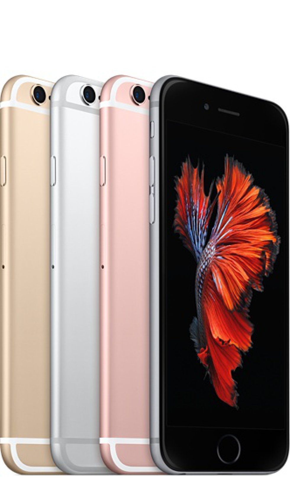 Trajeron la tecnología 3D Touch de pantalla, que permite con presión obtener funciones adicionales en las aplicaciones. También introdujeron cámaras más potentes, de 12Mp de resolución. Trajeron la tecnología 3D Touch de pantalla, que permite con presión obtener funciones adicionales en las aplicaciones. También introdujeron cámaras más potentes, de 12Mp de resolución.