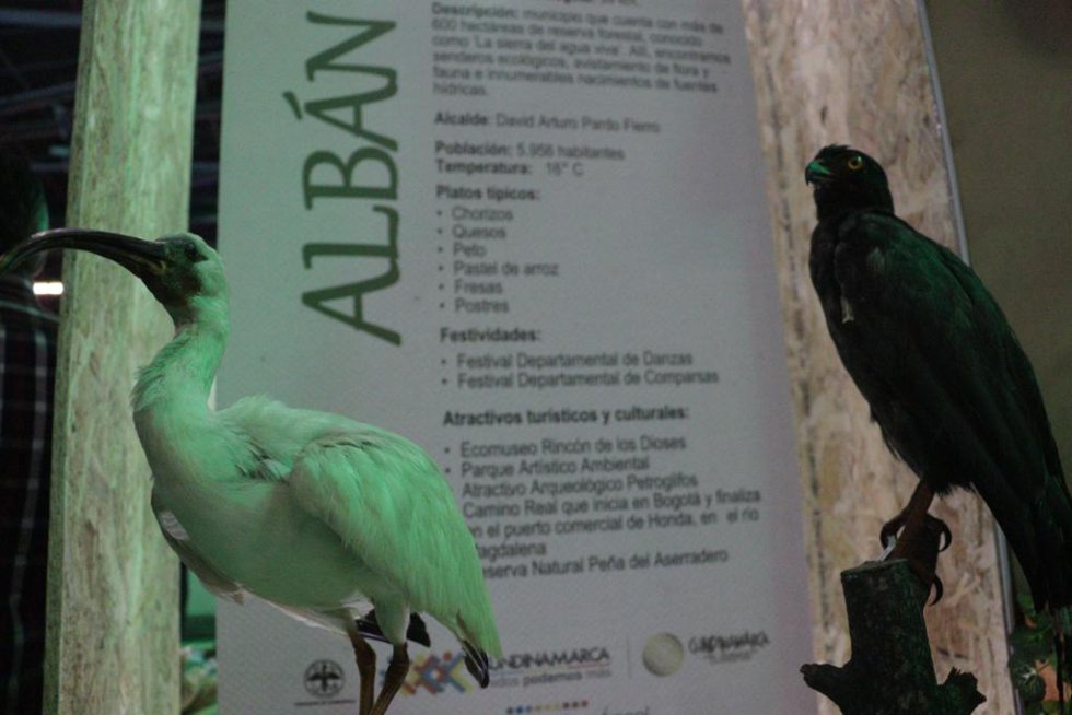 Cada rincón del departamento está representado en ExpoCundinamarca por un artesano, un bailarín, un cocinero o un emprendedor. Cada rincón del departamento está representado en ExpoCundinamarca por un artesano, un bailarín, un cocinero o un emprendedor.