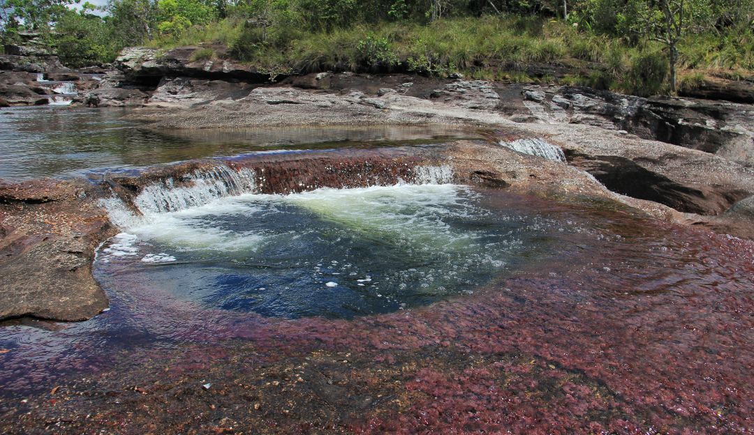 Cano Cristales Cano Cristales Estara Cerrado Hasta Mediados De 2019 Nacional Caracol Radio