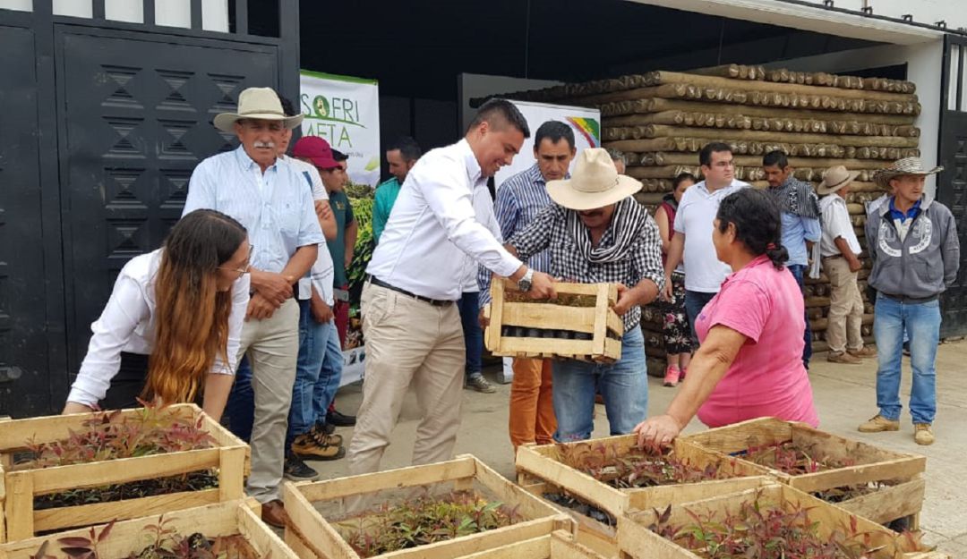 Acuerdo para cultivar fríjol y proteger el bosque en San Juanito, Meta