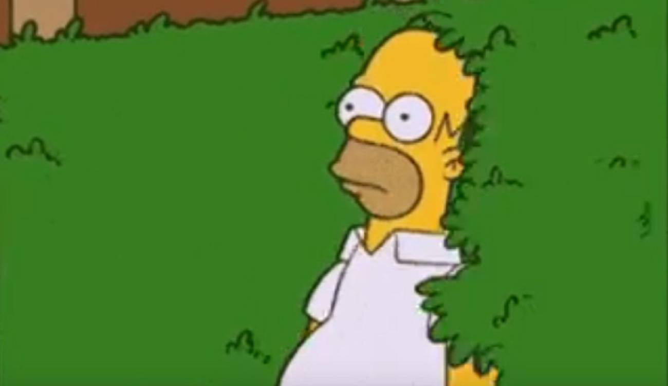 Video de Homero usando in GIF Homero Simpson usó su propio GIF y se