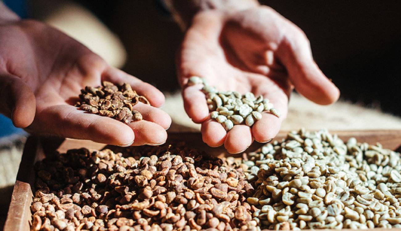 cafe starbucks Diversidad de sabores y calidad del café