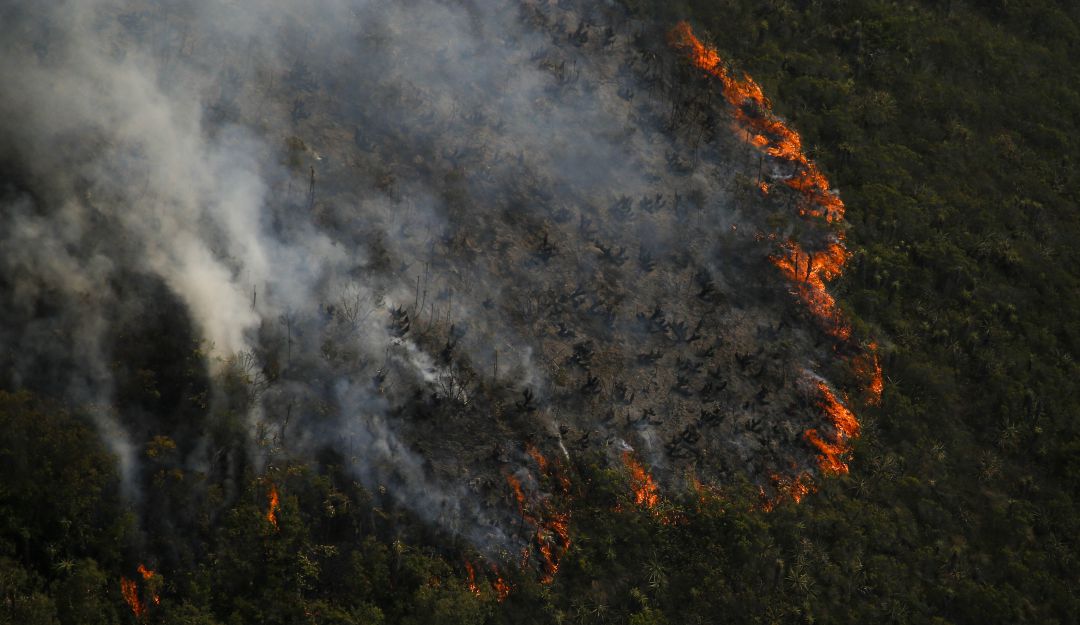 Parques Nacionales Naturales: Incendio en el Parque Nacional Los Katíos ...