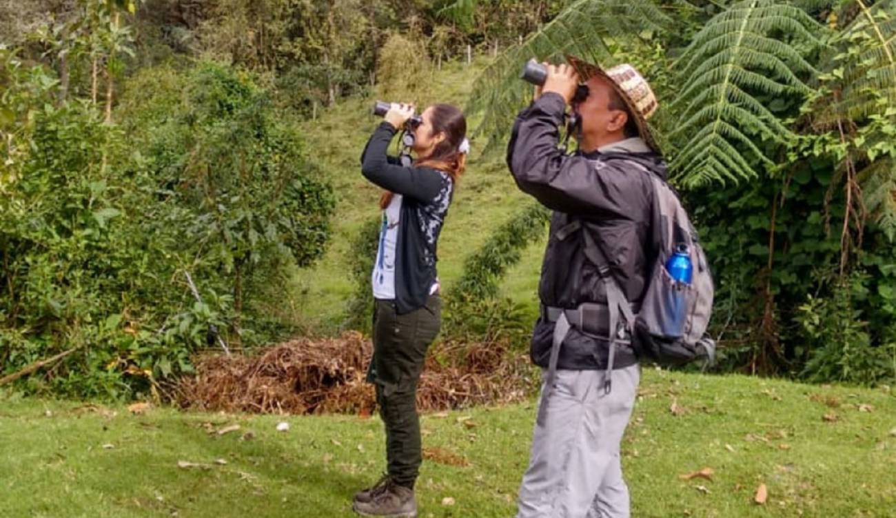 avistamiento aves: Tolima espera mejorar su posición a ...