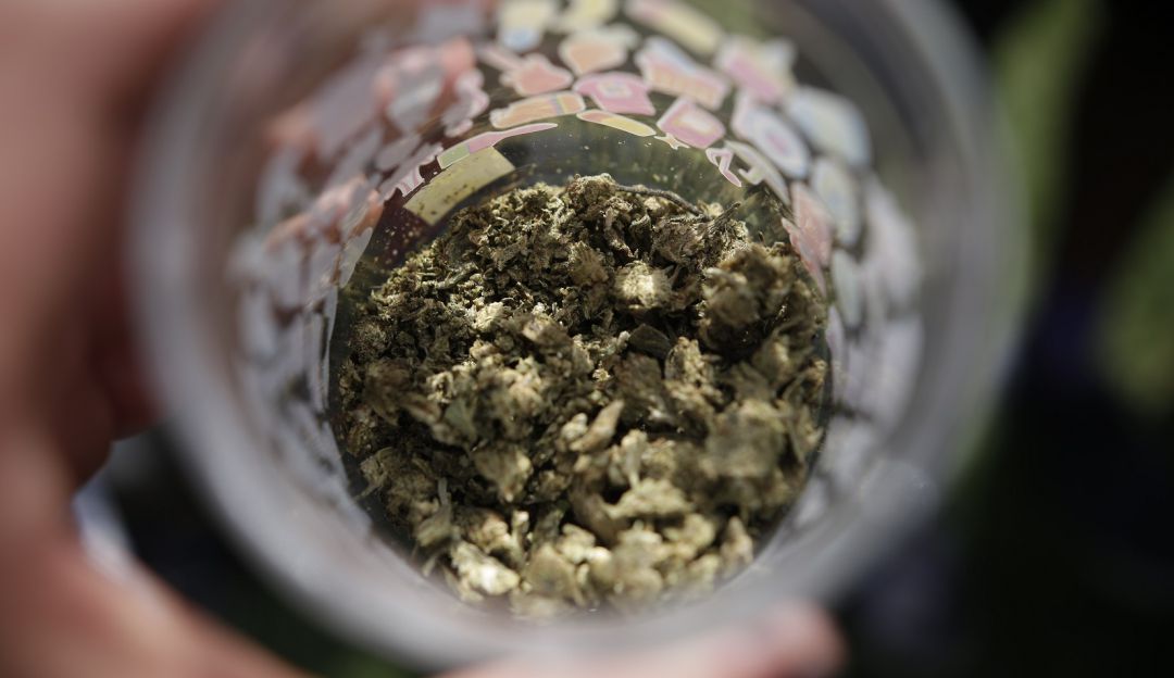 Marihuana Wax Alerta por mayor consumo de marihuana Wax Bogotá