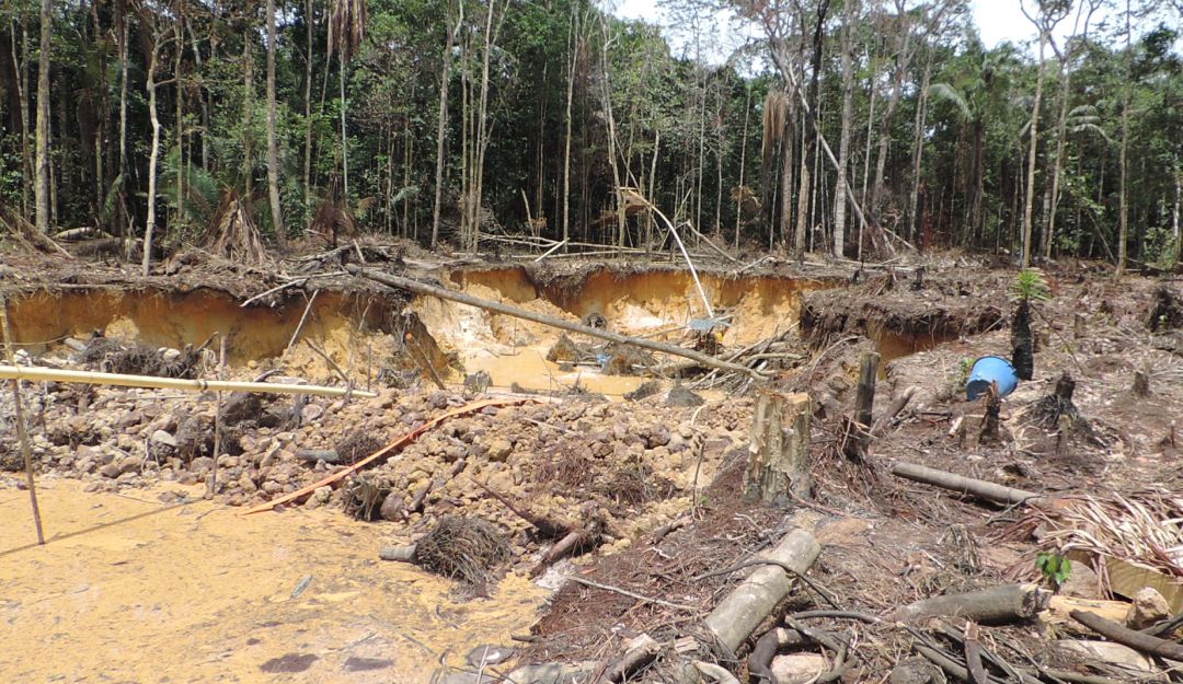 DeforestaciÃ³n: Vivo AmazonÃ­a rinde cuentas ante el aumento de la deforestaciÃ³n