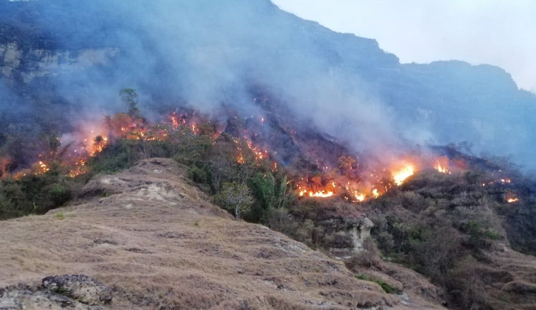 Incendios Forestales Colombia: El 98 % de los incendios ...