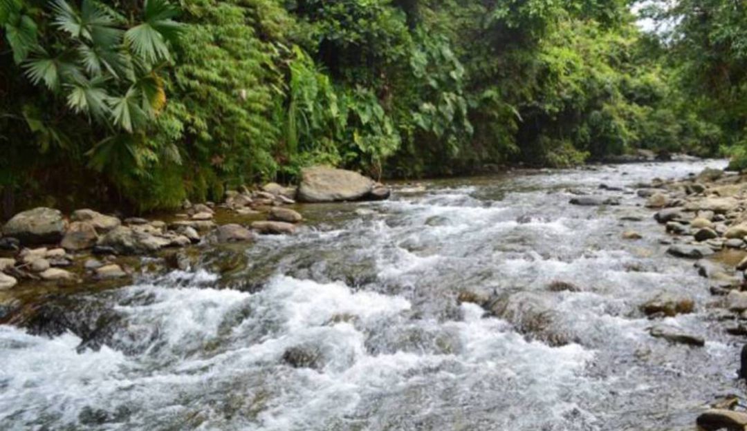 Arsenico En El Agua De Santa Rosa De Cabal Alerta En Santa Rosa De Cabal Por Niveles De Arsenico Pereira Caracol Radio