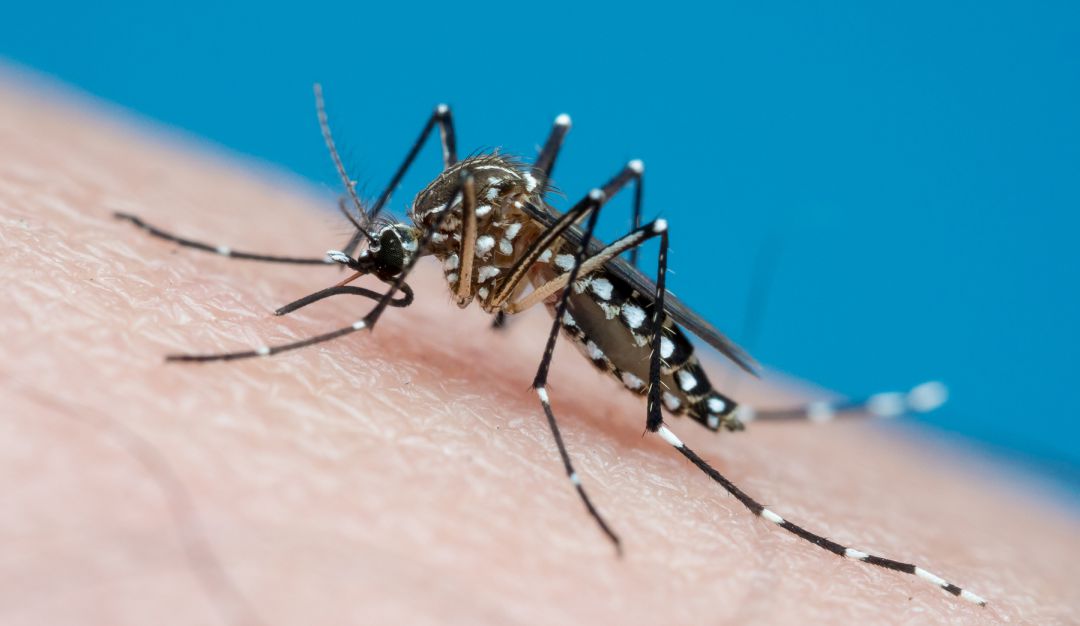 Concentración del dengue en Colombia En 8 departamentos de Colombia se
