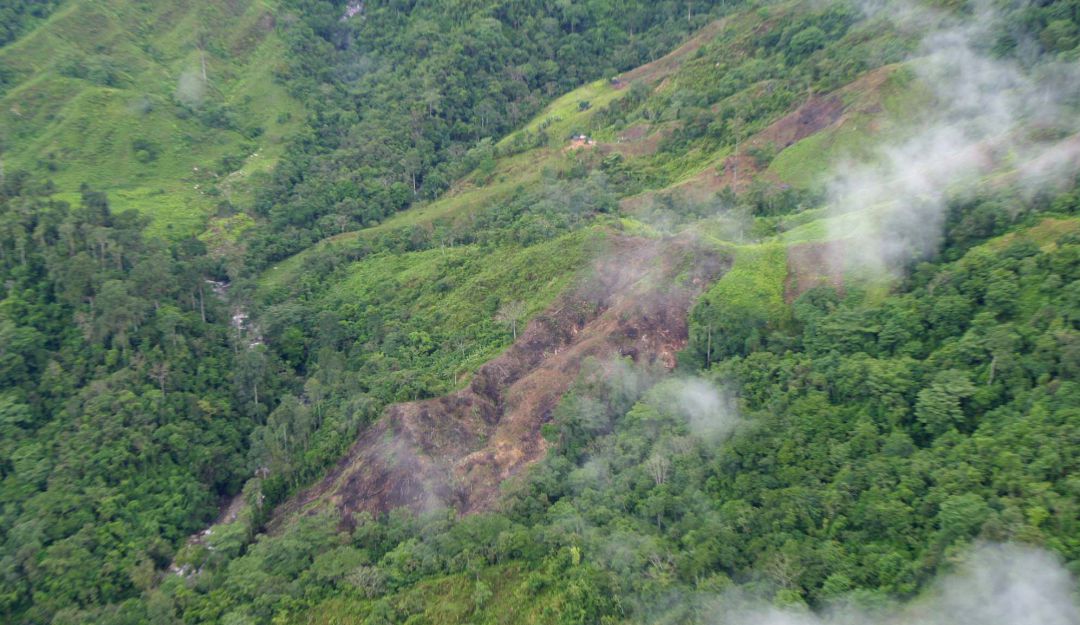 Cifras deforestación Colombia Medio Ambiente: Más de 720 mil hectáreas deforestadas en Colombia desde 2014