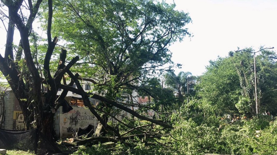 Polémica respuesta de contratista a activistas del Túnel Verde de Envigado