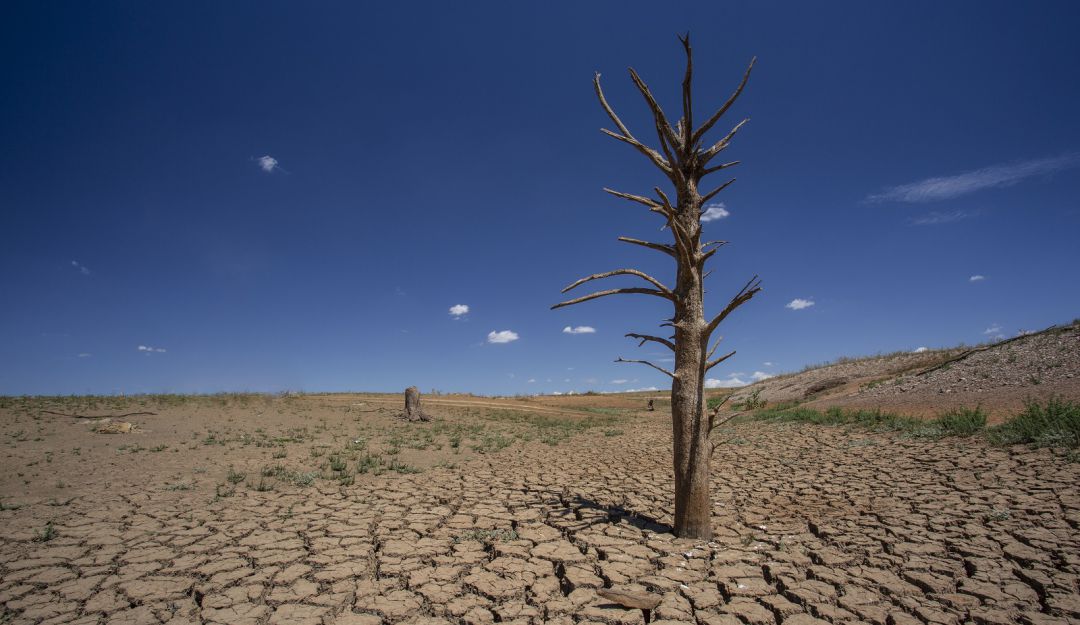 ONU alerta por cambio climático: ONU: La última década es la más caliente registrada hasta la fecha