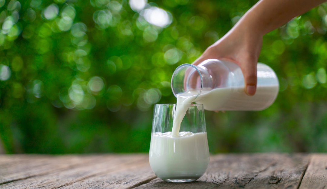 Fraude en leche Colombia Mucha de la leche que se consume