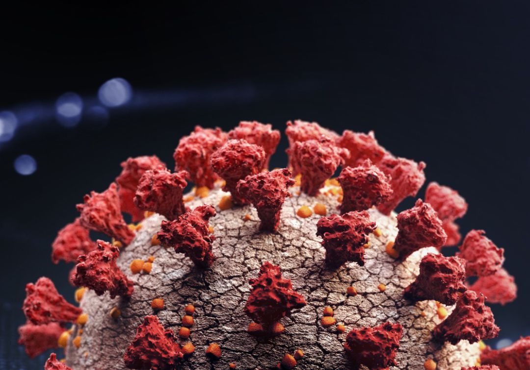 Coronavirus Colombia: 2.467 casos nuevos y 73 fallecidos