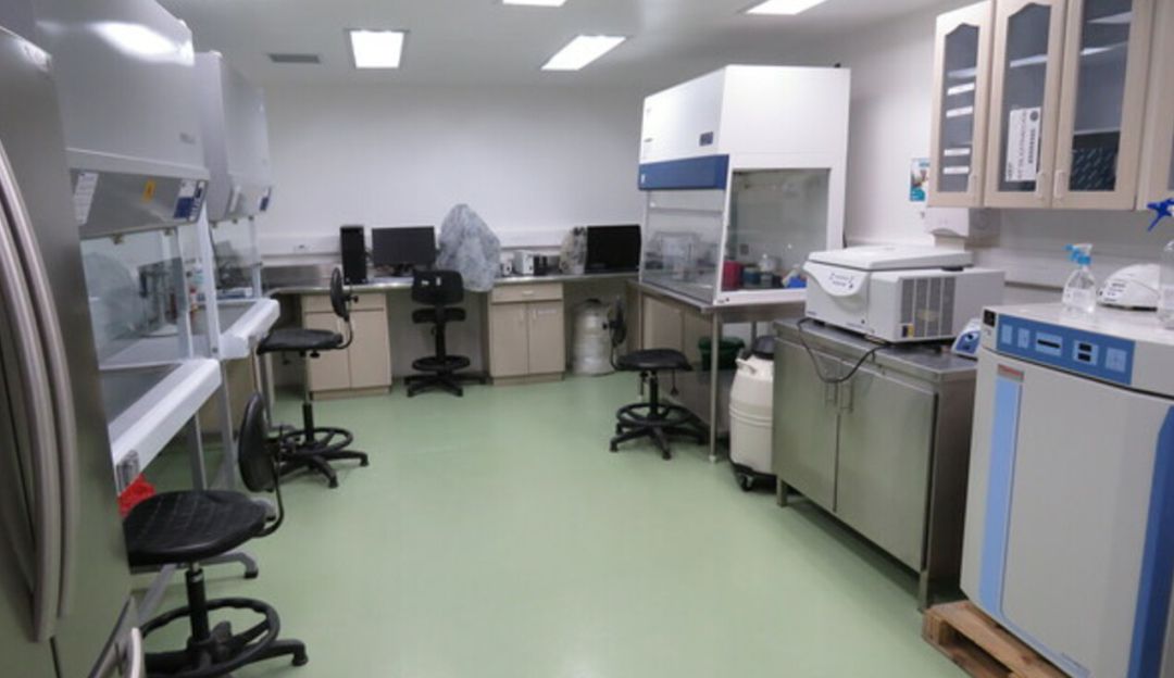Laboratorio de la UTP para muestras de coronavirus: Laboratorio de ...
