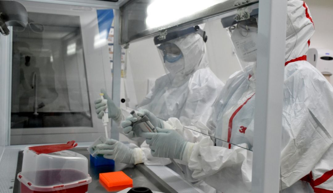 Laboratorio de la UTP analiza muestras de Covid-19: Laboratorio de la UTP ya empezó la entrega de resultados del Covid-19