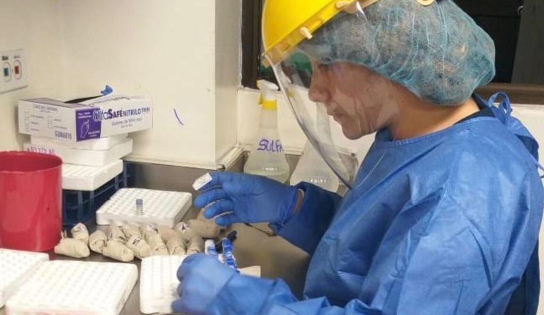 Coronavirus en Risaralda: A 130 ascendió el número de infectados ...