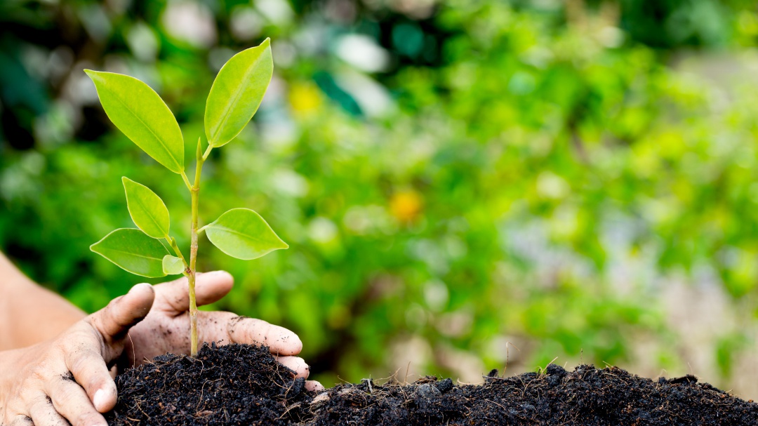 Los retos ambientales del planeta para el 2021