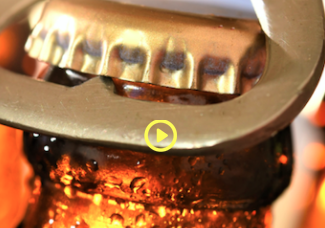 ¡El trabajo ideal! Empresa pagará 20 mil dólares por tomar cerveza y registrarlo en redes