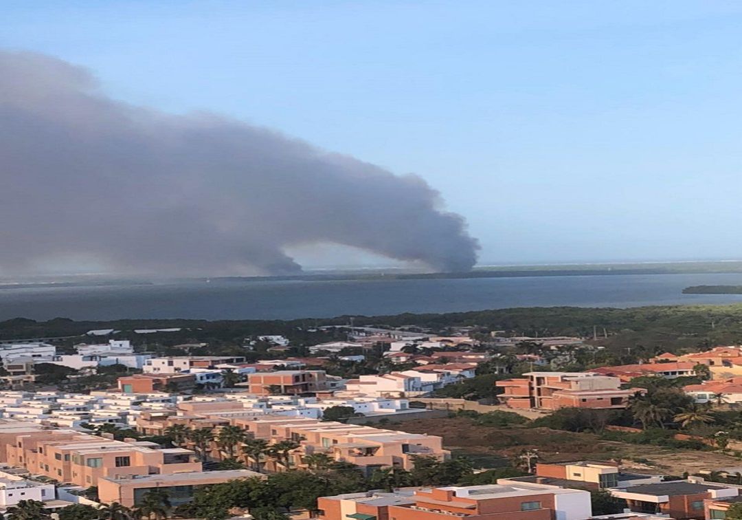 Nuevo incendio en el parque Isla Salamanca