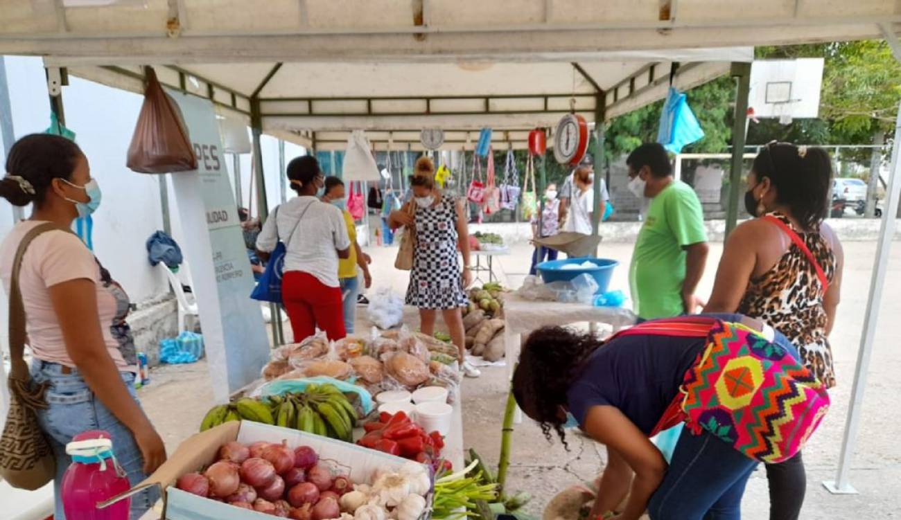Mercado Móvil Campesino en Cartagena: 20 toneladas se vendieron en Mercado  Móvil Campesino en Cartagena | Cartagena | Caracol Radio