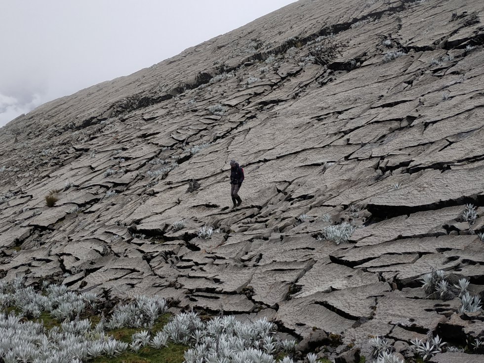 Almorzadero se caracteriza por albergar una gran cantidad de cumbres borrascosas, formaciones filosas que superan los 4000 metros de altura y las cuales son sobrevoladas por el enigmático cóndor de los Andes. Almorzadero se caracteriza por albergar una gran cantidad de cumbres borrascosas, formaciones filosas que superan los 4000 metros de altura y las cuales son sobrevoladas por el enigmático cóndor de los Andes.
