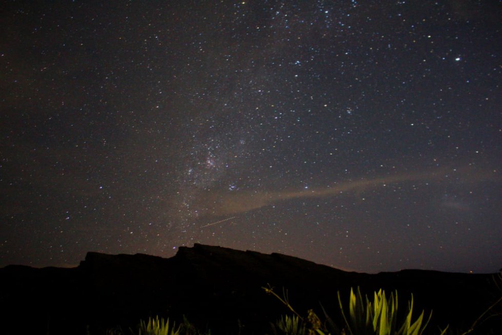 Además de avistar osos de anteojos, los turistas que acampan en el Parque Nacional Natural Chingaza pueden deleitarse con una explosión de estrellas en horas de la noche. Además de avistar osos de anteojos, los turistas que acampan en el Parque Nacional Natural Chingaza pueden deleitarse con una explosión de estrellas en horas de la noche.