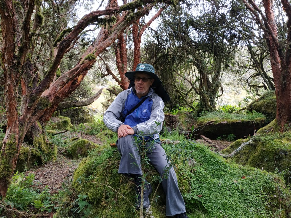 Germán Grimaldo, habitante de Belén (Boyacá), lleva más de 20 años sembrando semillas de colorados en el páramo de Guantiva-La Rusia. Germán Grimaldo, habitante de Belén (Boyacá), lleva más de 20 años sembrando semillas de colorados en el páramo de Guantiva-La Rusia.