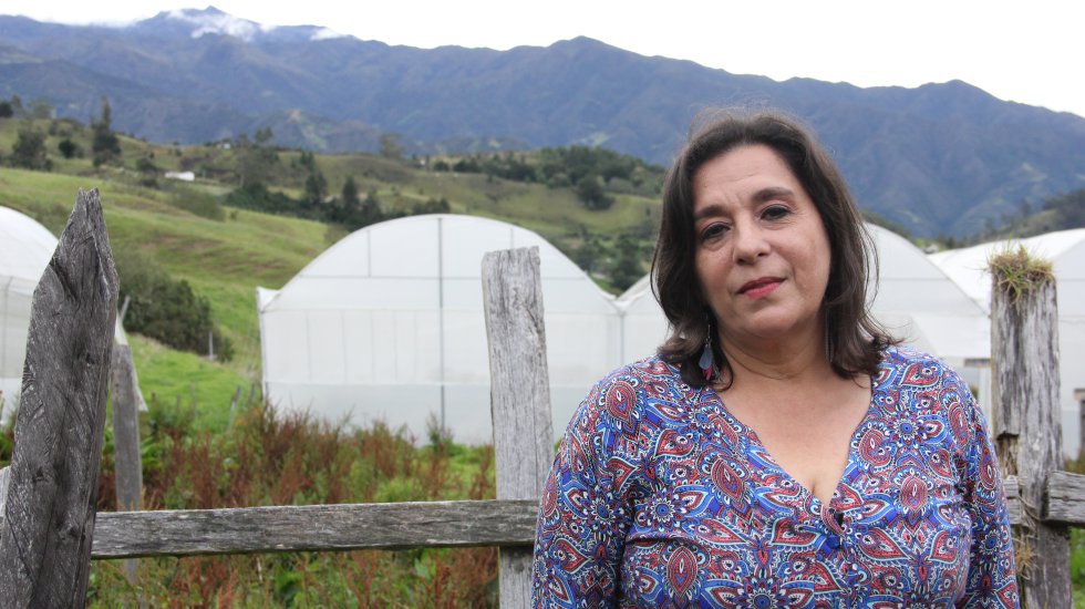 En su finca La Frontera, ubicada en el municipio de Mutiscua, Ligia Salamanca cultiva uchuvas, papa, zanahoria, brócoli, cebolla, repollo y berenjena libres de químicos. Además de su negocio de productos orgánicos, esta madre cabeza de familia conserva una gran cantidad de bosque altoandino y siembra árboles nativos para cuidar el páramo. En su finca La Frontera, ubicada en el municipio de Mutiscua, Ligia Salamanca cultiva uchuvas, papa, zanahoria, brócoli, cebolla, repollo y berenjena libres de químicos. Además de su negocio de productos orgánicos, esta madre cabeza de familia conserva una gran cantidad de bosque altoandino y siembra árboles nativos para cuidar el páramo.