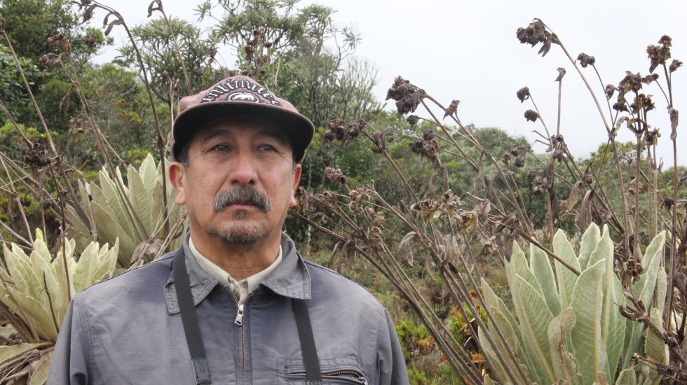 Roberto Sánchez, biólogo de la Universidad Nacional, es uno de los que más conoce las plantas del páramo de Santurbán, en especial las 18 especies de frailejones que alberga. En el Herbario Catatumbo-Sarare de la Universidad de Pamplona, el cual dirige, las estudia detalladamente, trabajo que le ha permitido descubrir nuevas especies. Roberto Sánchez, biólogo de la Universidad Nacional, es uno de los que más conoce las plantas del páramo de Santurbán, en especial las 18 especies de frailejones que alberga. En el Herbario Catatumbo-Sarare de la Universidad de Pamplona, el cual dirige, las estudia detalladamente, trabajo que le ha permitido descubrir nuevas especies.