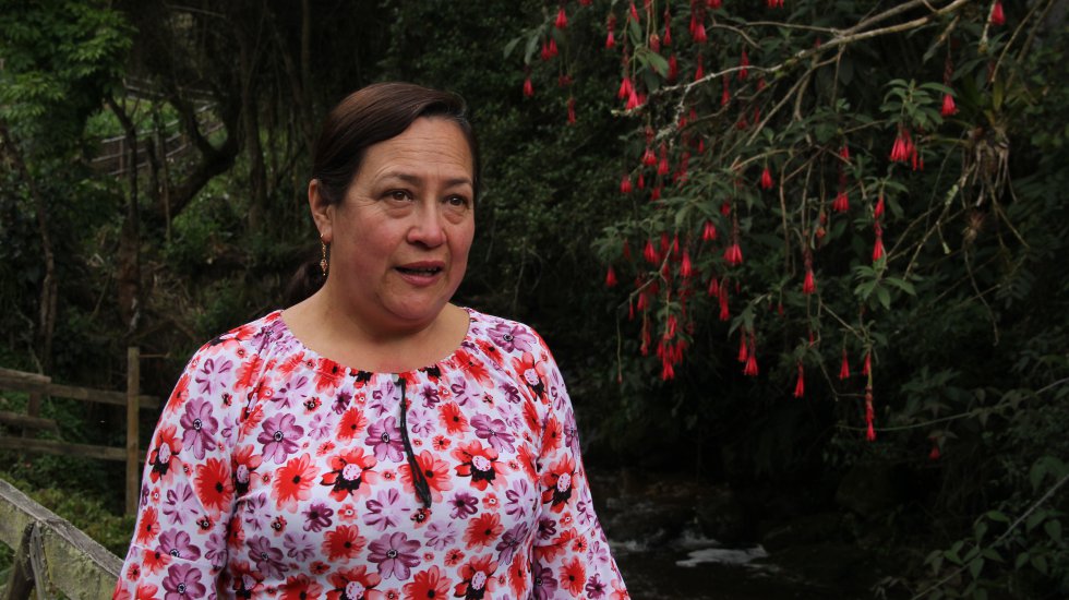 El Pino, la finca que tiene María Elisa Pabón en el municipio de Mutiscua, está atravesada por una quebrada de aguas cristalinas que es visitada por decenas de turistas. Allí cultiva productos orgánicos, conserva una gran cantidad de bosque altoandino y cocina los platos típicos de Norte de Santander. El Pino, la finca que tiene María Elisa Pabón en el municipio de Mutiscua, está atravesada por una quebrada de aguas cristalinas que es visitada por decenas de turistas. Allí cultiva productos orgánicos, conserva una gran cantidad de bosque altoandino y cocina los platos típicos de Norte de Santander.