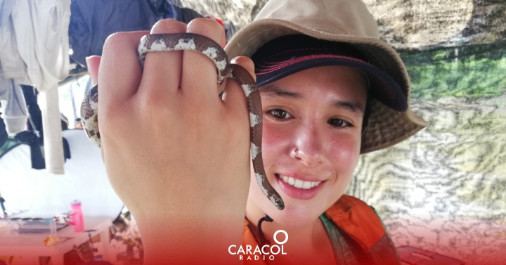 Serpientes Colombia: Aprendiendo sobre serpientes: ¿Qué tanto conocemos de estos reptiles? | Planeta Caracol - Vimarsana News
