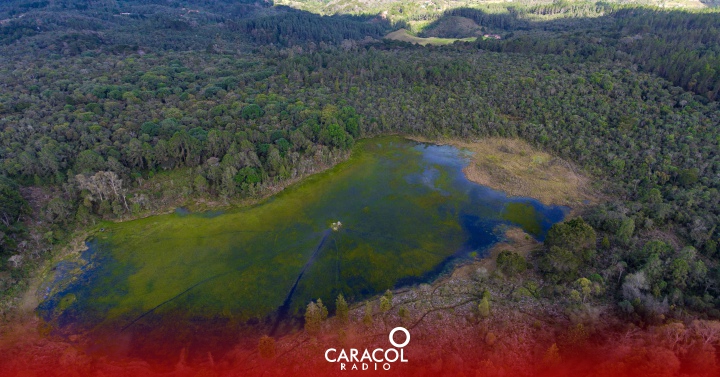 Parques Naturales Colombia: ¿Cuál es la situación de los Parques Naturales en Colombia? | Planeta Caracol - Vimarsana News