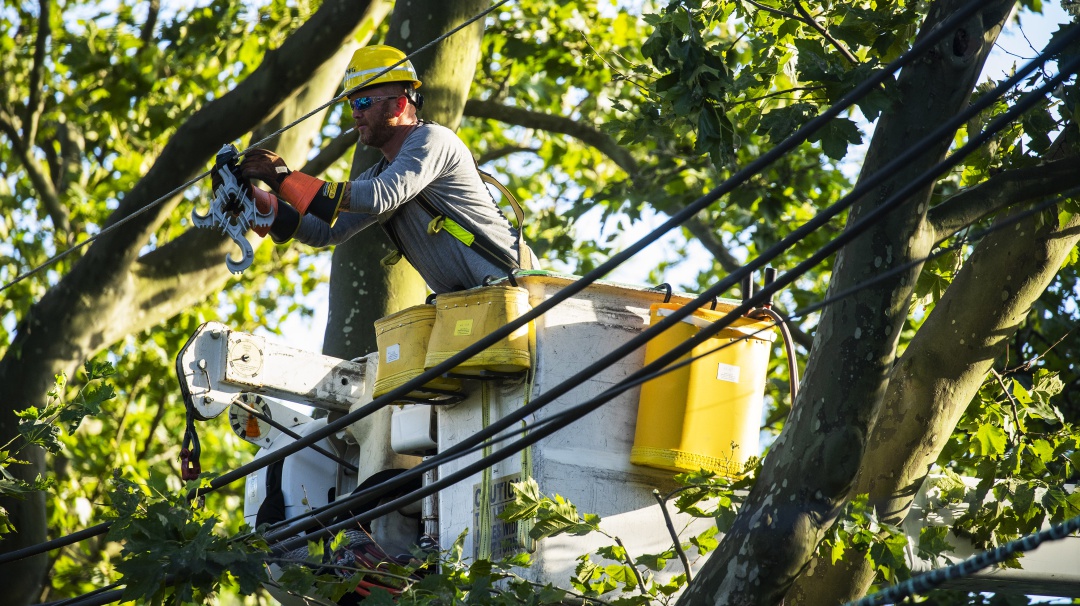 308 mil personas se vieron afectadas por falla en la Subestación Salitre