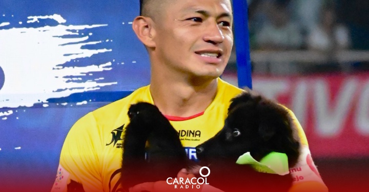 Deportivo Pereira perritos: La tierna campaña que lidera el Deportivo  Pereira | Deportes | Caracol Radio