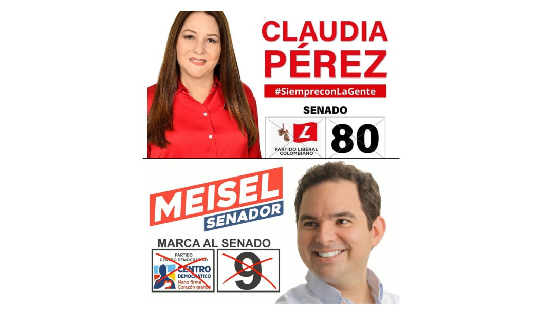 Senadores electos, Claudia Pérez y Carlos Meisel, acusados de comprar votos