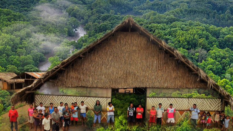 Las 160 mujeres de Vaupés que sembraron más de 10.000 árboles