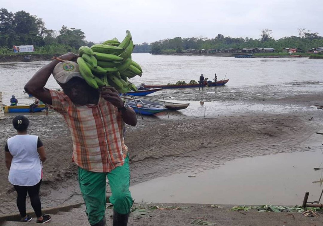Gobierno visitará comunidades de Chocó por denuncias de desplazamiento