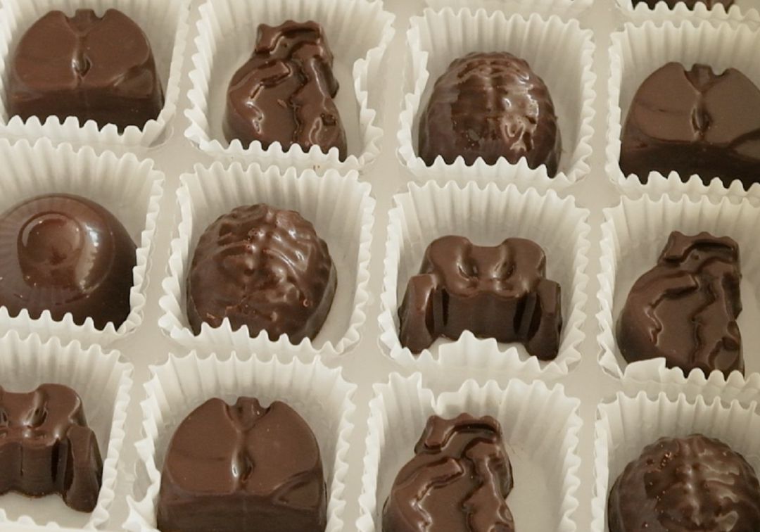 Científicos colombianos buscan reducir el daño del COVID-19 con chocolate