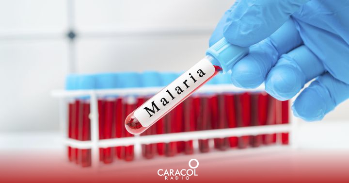 Vaccine against Malaria, Sócrates Herrera, Myriam Arévalo, Malaria: Colombian vaccine against Malaria showed an effectiveness of 60% |  Health