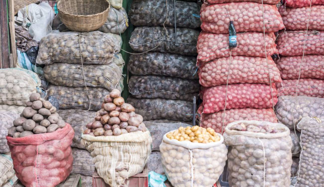 Costos alimentos: No para la caída de los precios de la papa | Al Campo |  Caracol Radio