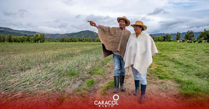 Elecciones 2022: ¿Qué le pide el sector agrícola al próximo presidente de  Colombia? | Al Campo | Caracol Radio