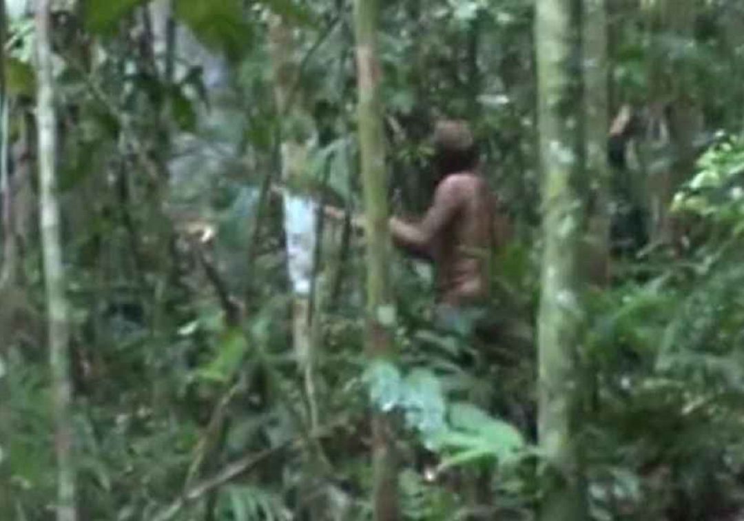 Murió el indígena más aislado de Brasil, último superviviente de su comunidad